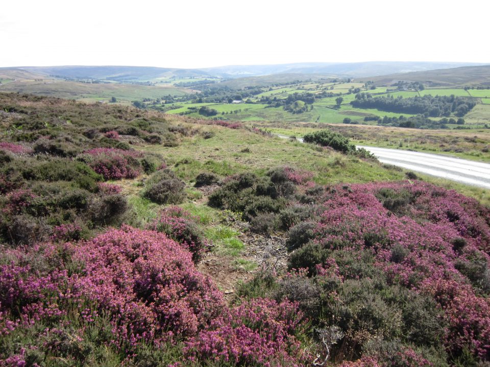 North York Moors Scenery