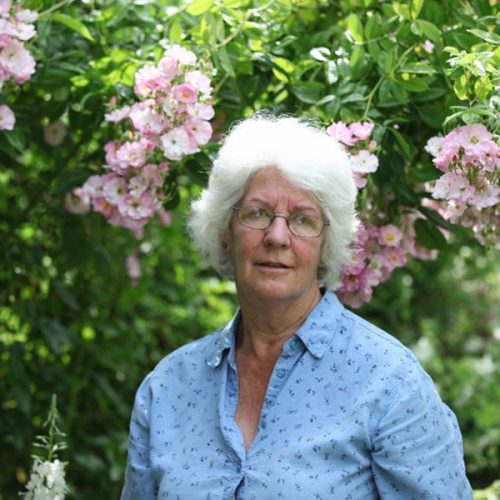 Image of a lady surrounded by roses